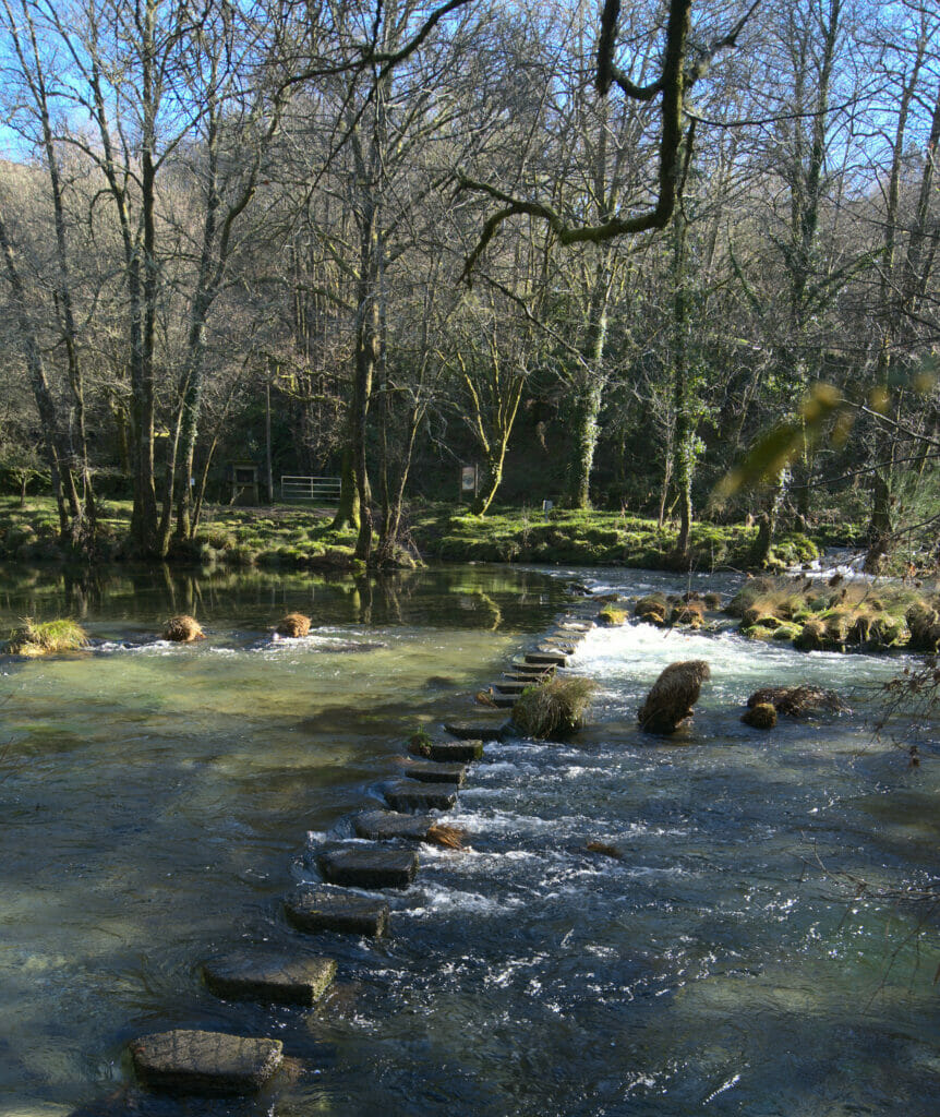 pierres pour traverser le rio verdugo