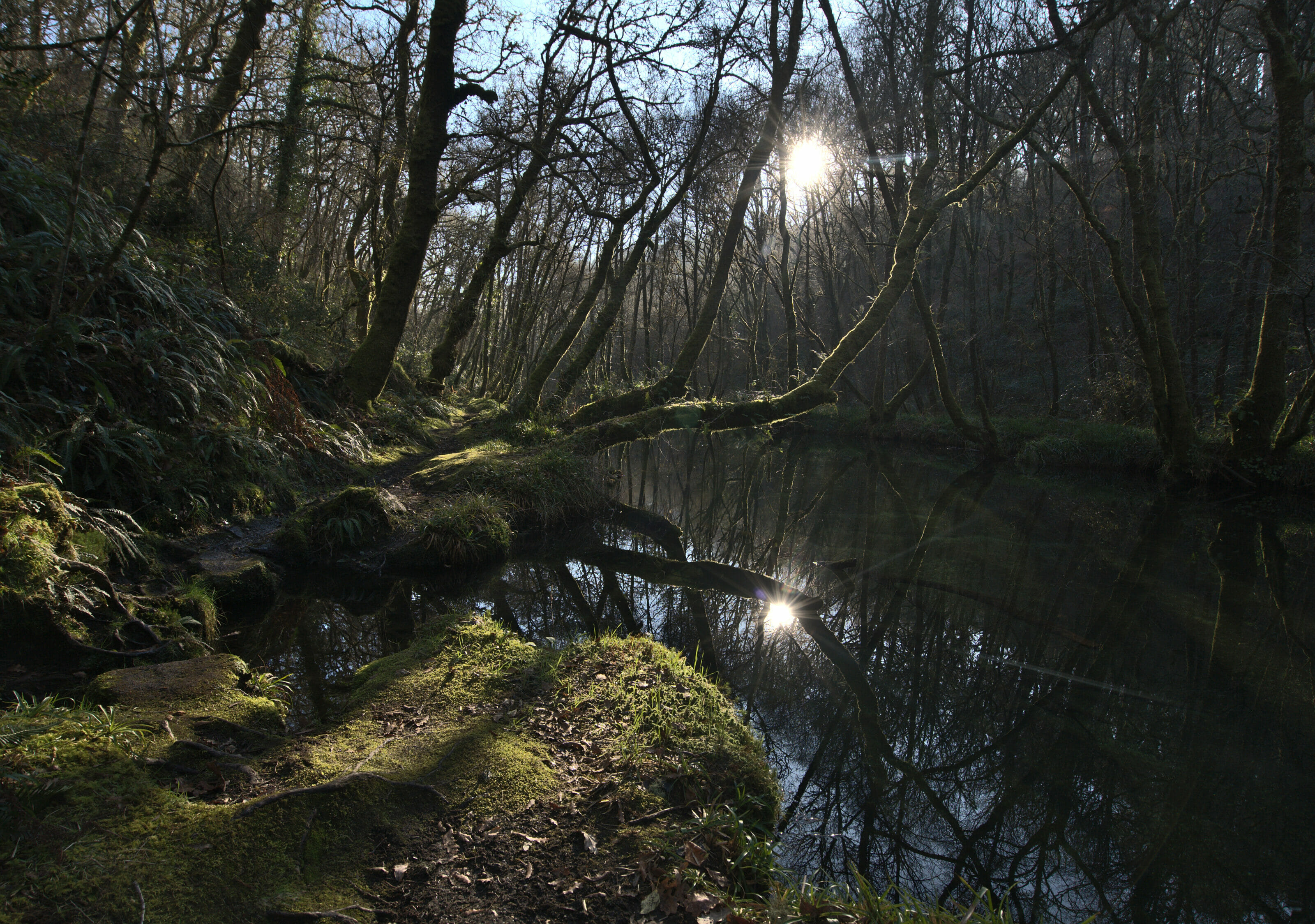 rio Barragan Galicia