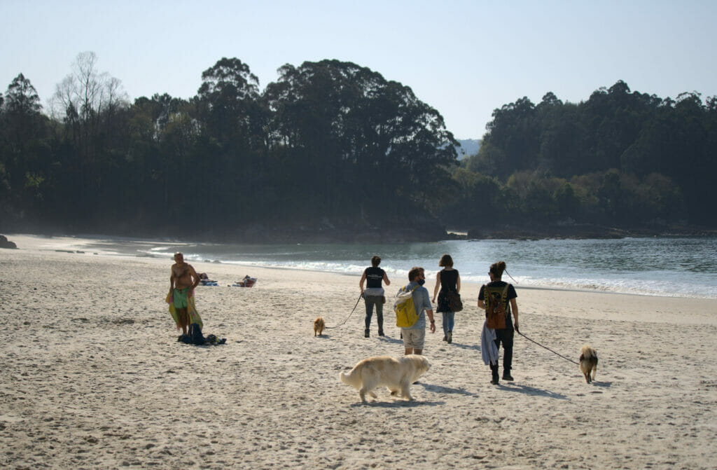 plage de Lapaman en Galice avec les dogs