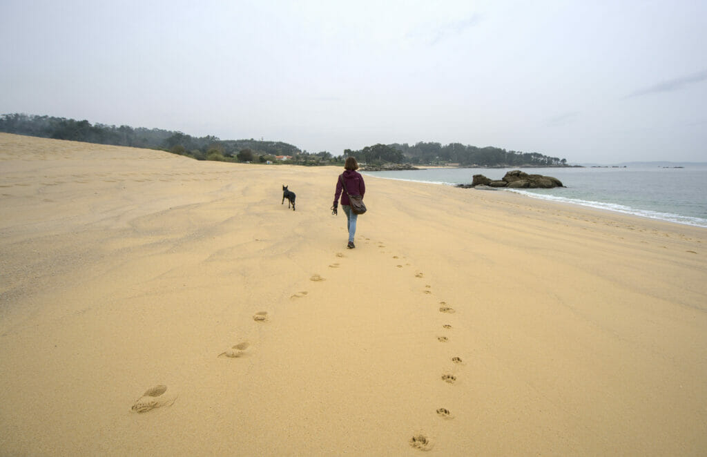 randonner sur la plage avec le chien