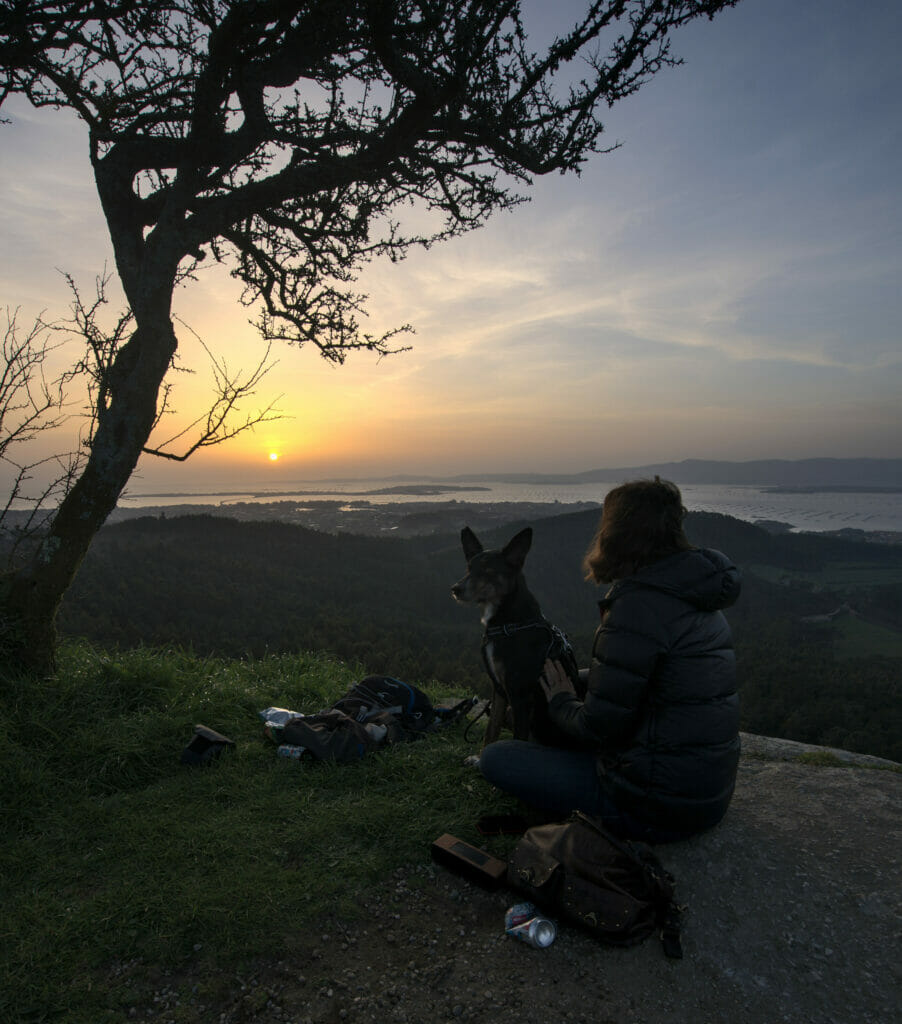 point de vue pontevedra