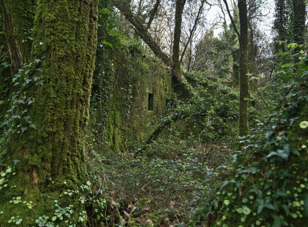 ancienne usine de sel de Ullo