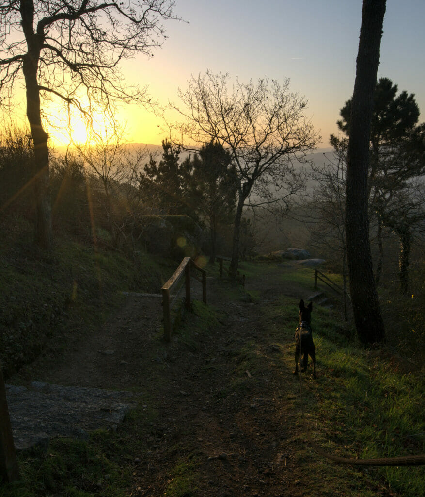 lever de soleil lobeira