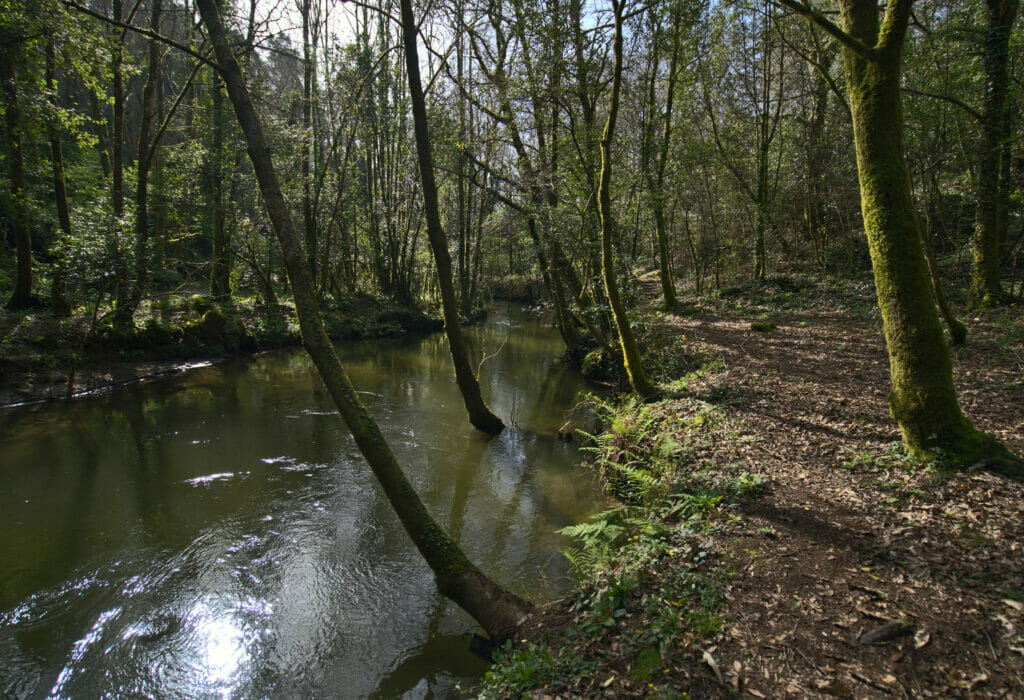 promenade rio barosa