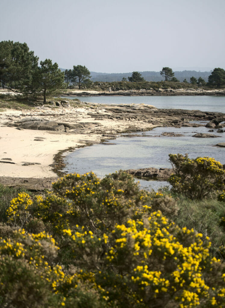 parc national arousa