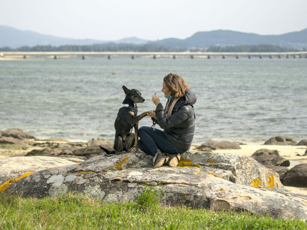 chien ile d'arousa