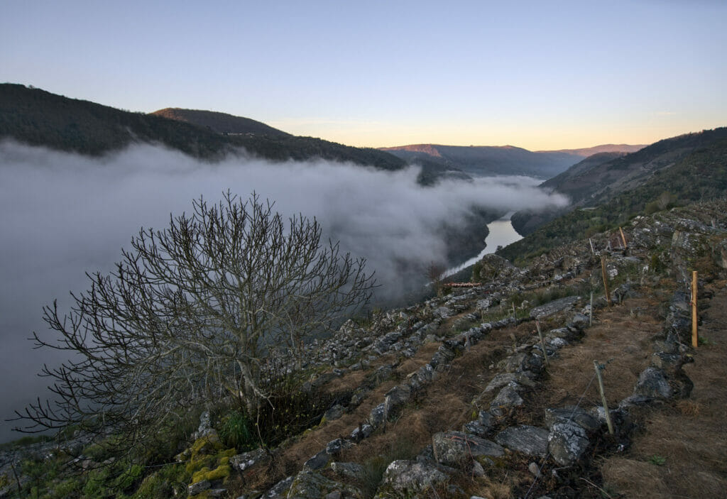 lever de soleil sur les vignobles de la Ribeira Sacra