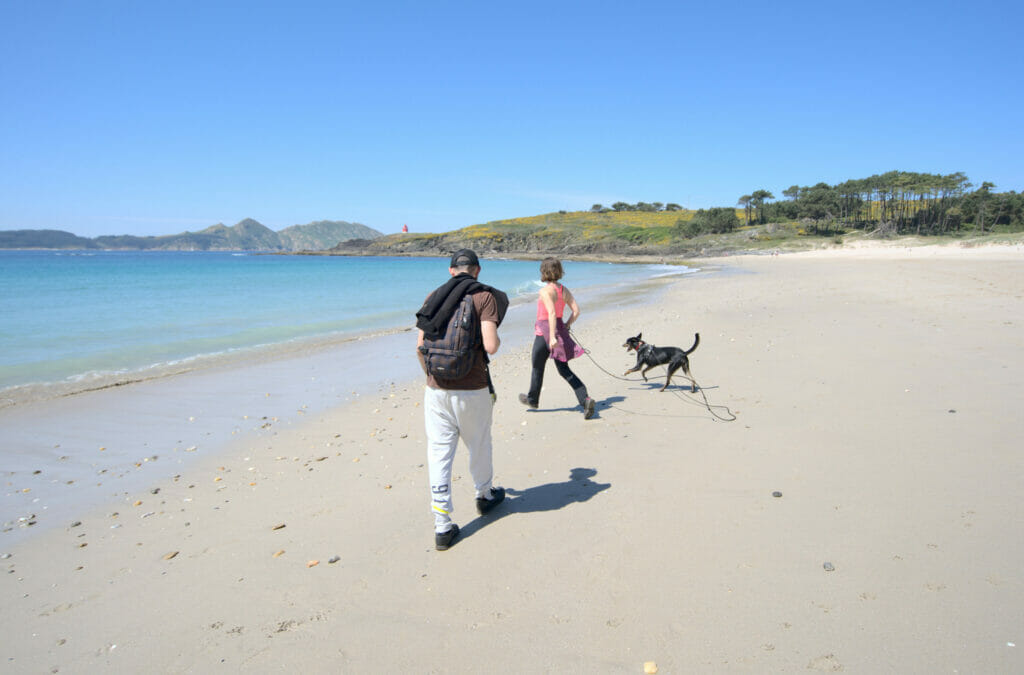 plage de melide