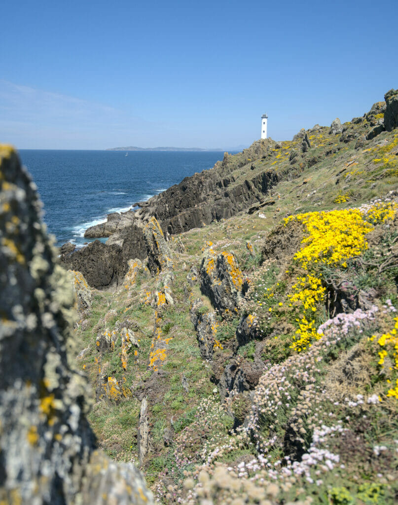 phare de cabo home