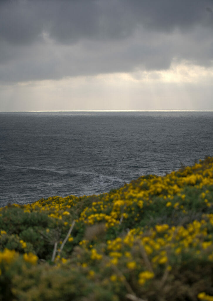 pointe de nariga