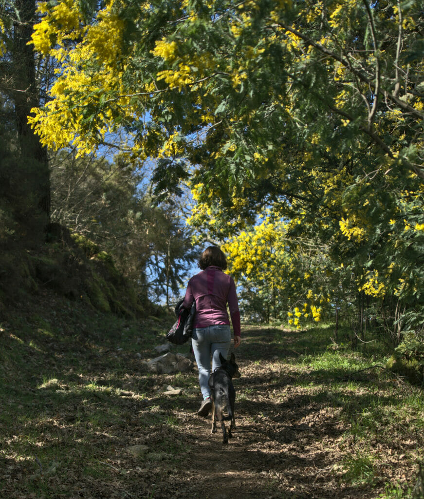 rando ribeira sacra