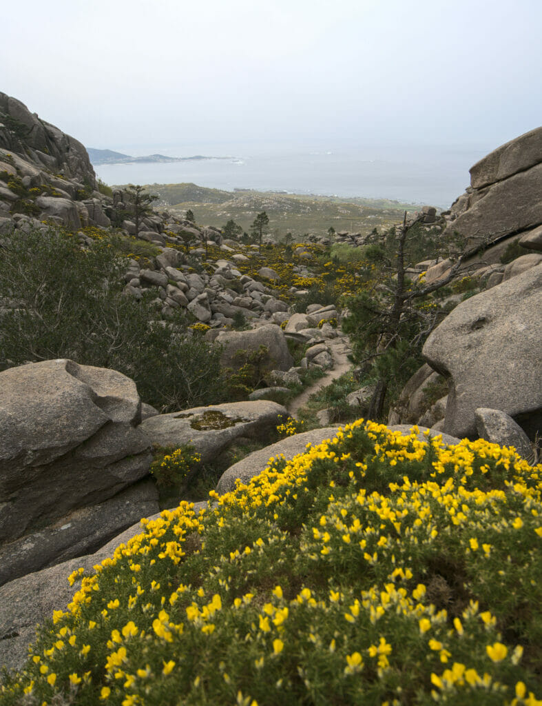 randonnée monte pindo