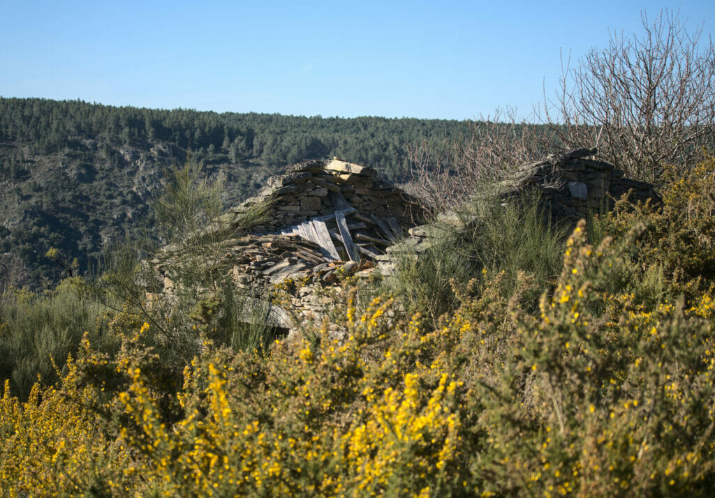 maison abandonnée ribeira sacra