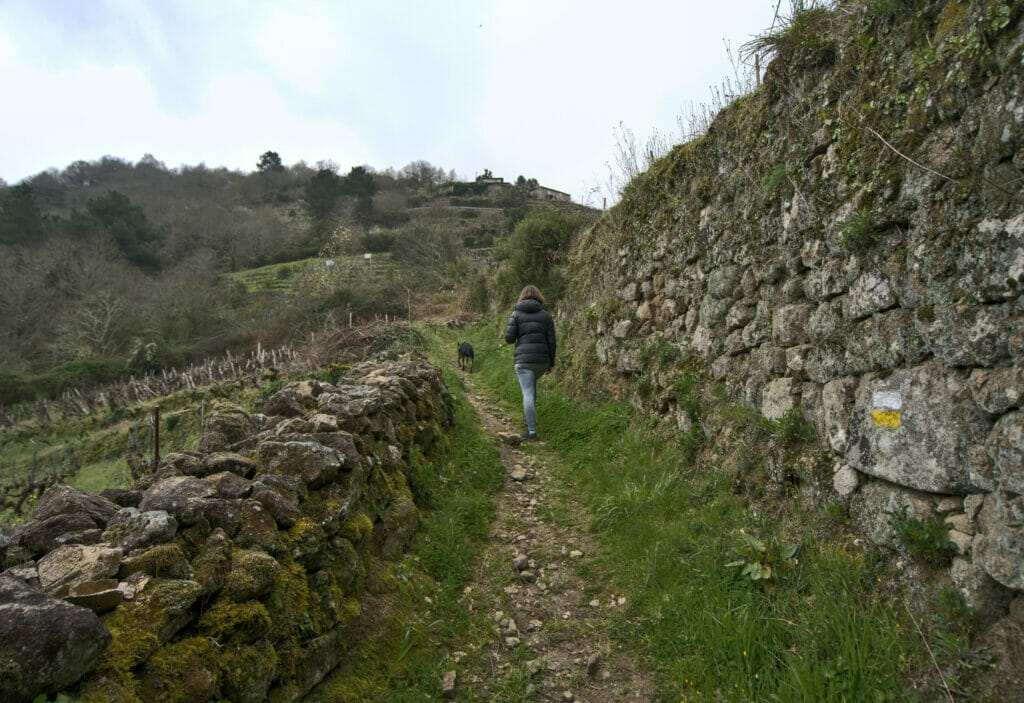 vignobles Ribeira Sacra