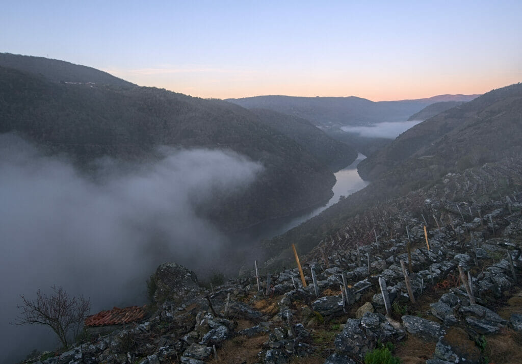 vignobles en terrasses de la Ribeira Sacra