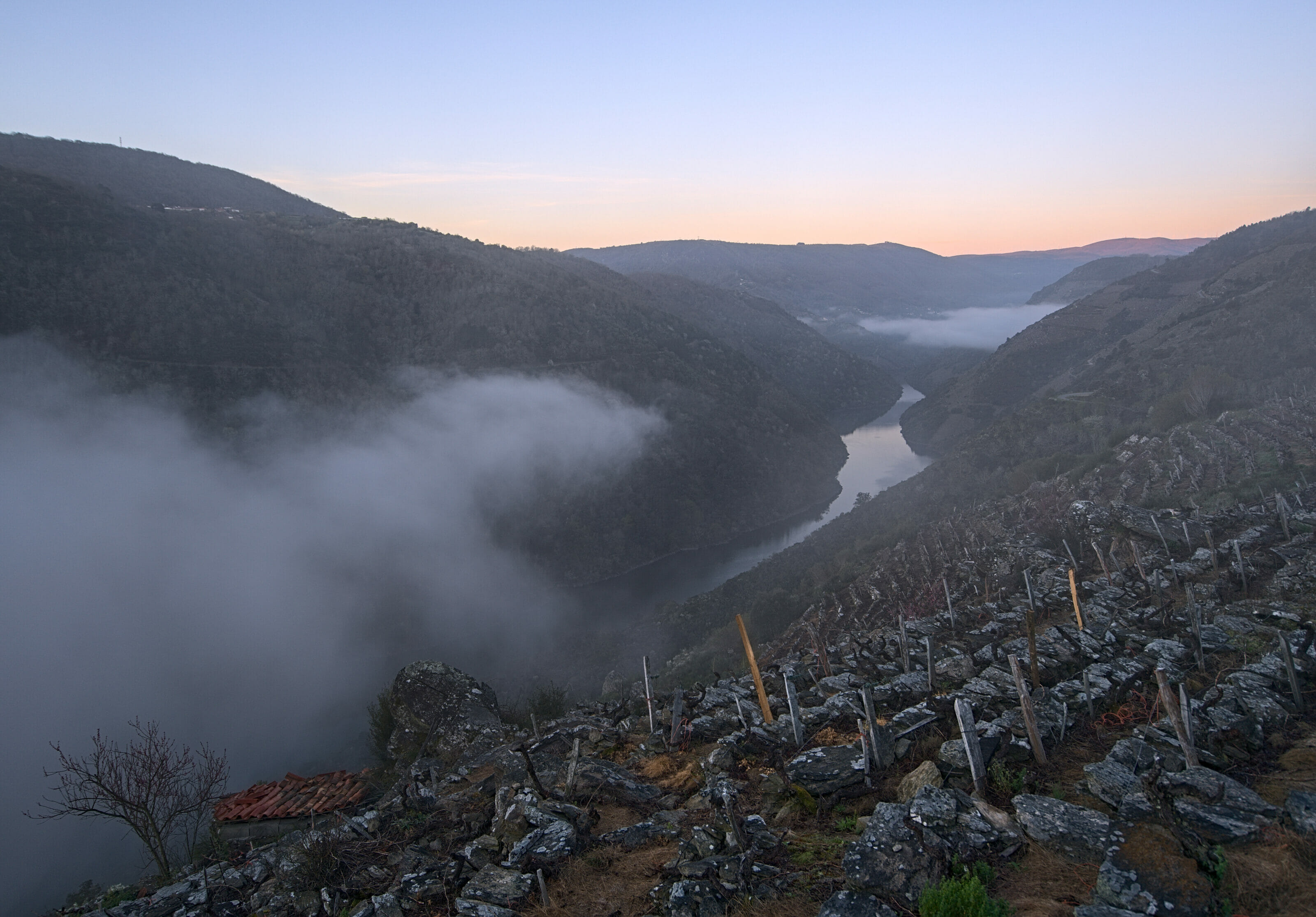 Ribeira Sacra wines and vineyards