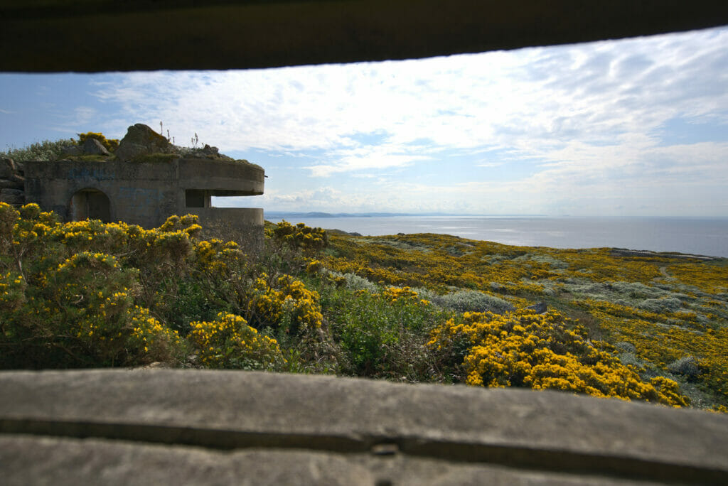 à l'intérieur des batteries du cap Prior