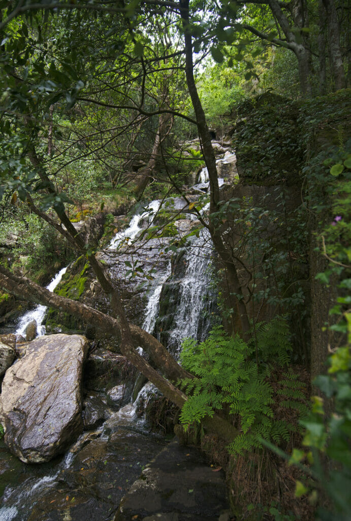 cascade Fragas do Eume