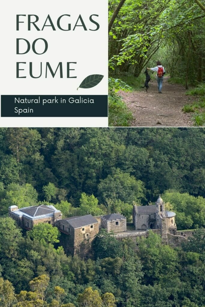 the natural park of Fragas do Eume in Galicia