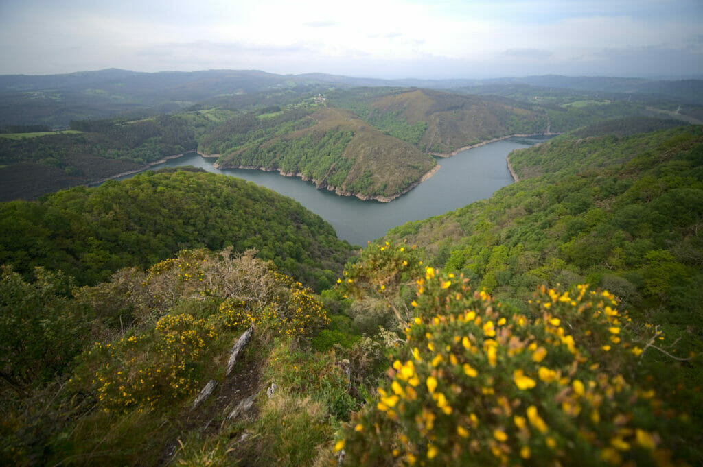 rio Eume depuis le mirador da Carbueira