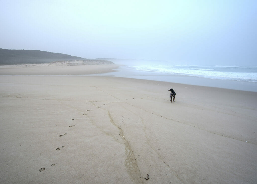 plage de rostro