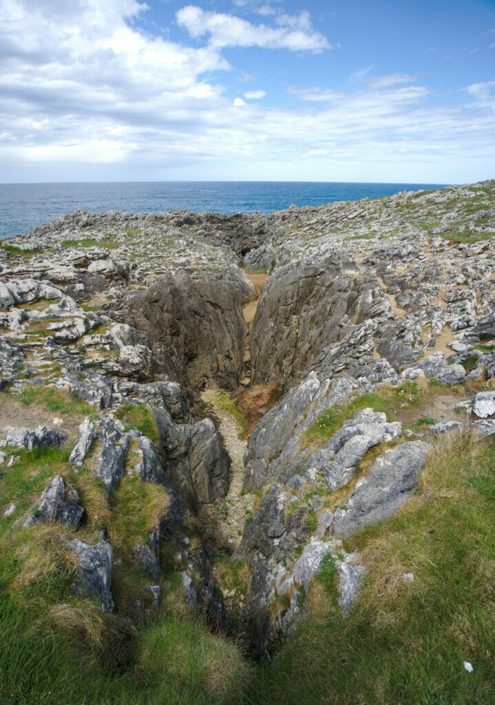 buffones de arenillas