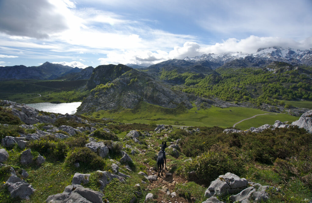 parc national espagne