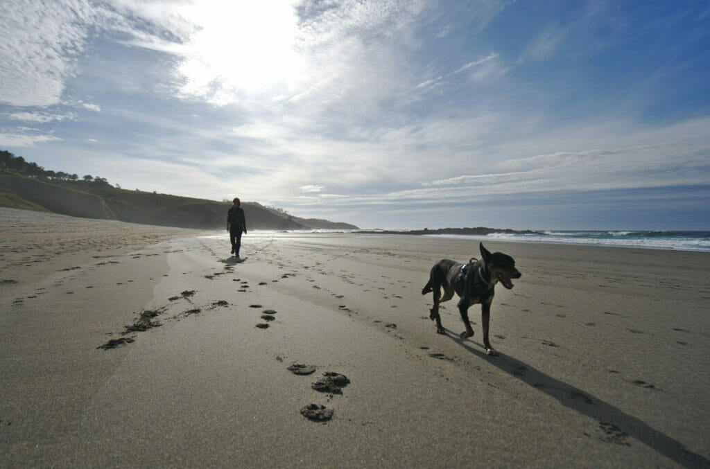 playa frexulfe