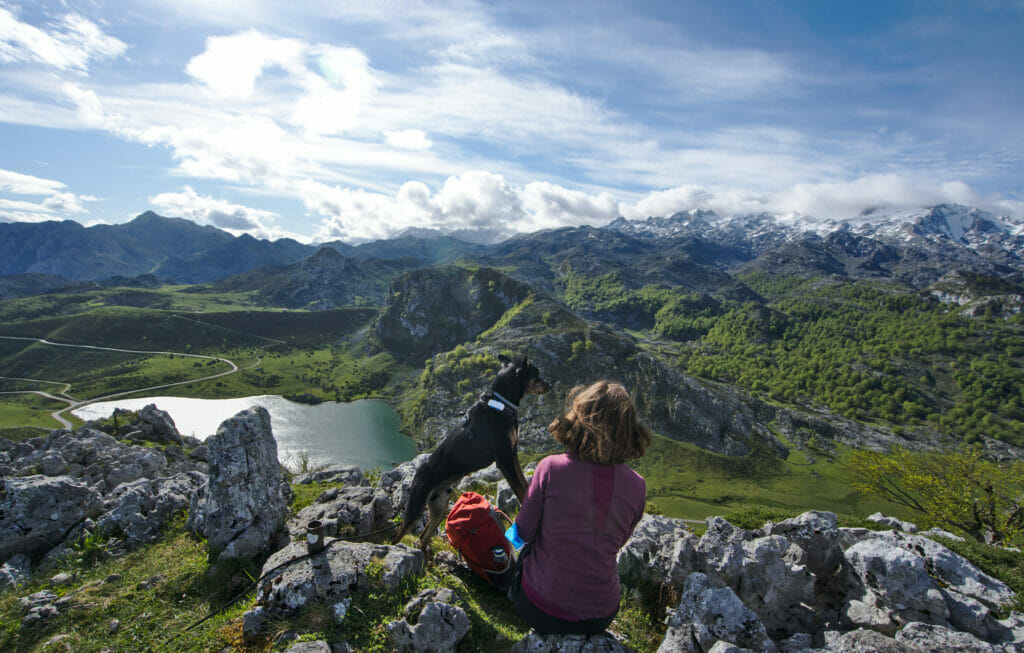 vue pics d'europe