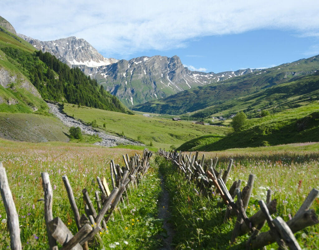 sentiers des cols alpin au find du Safiental