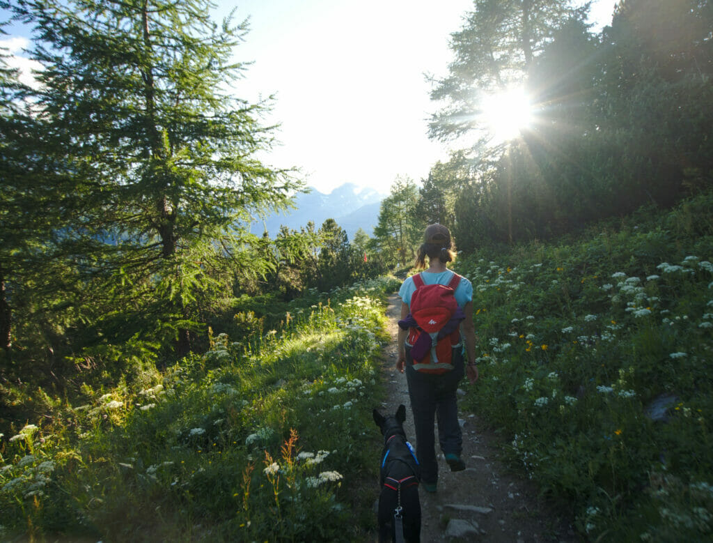 chemin panoramique