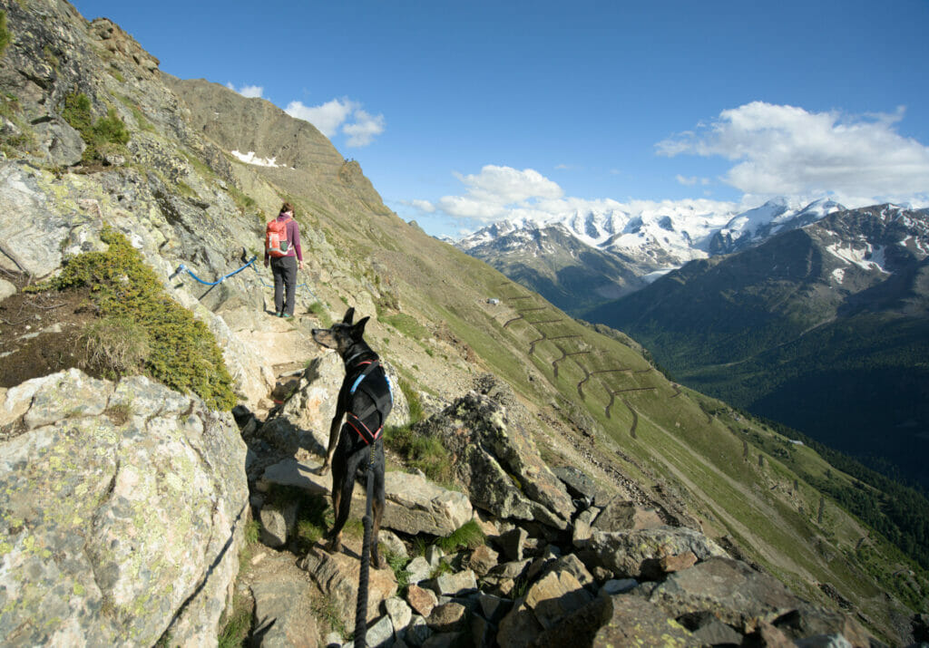 de segantini à alp languard