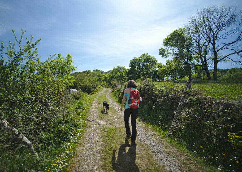 montée le long d'une piste