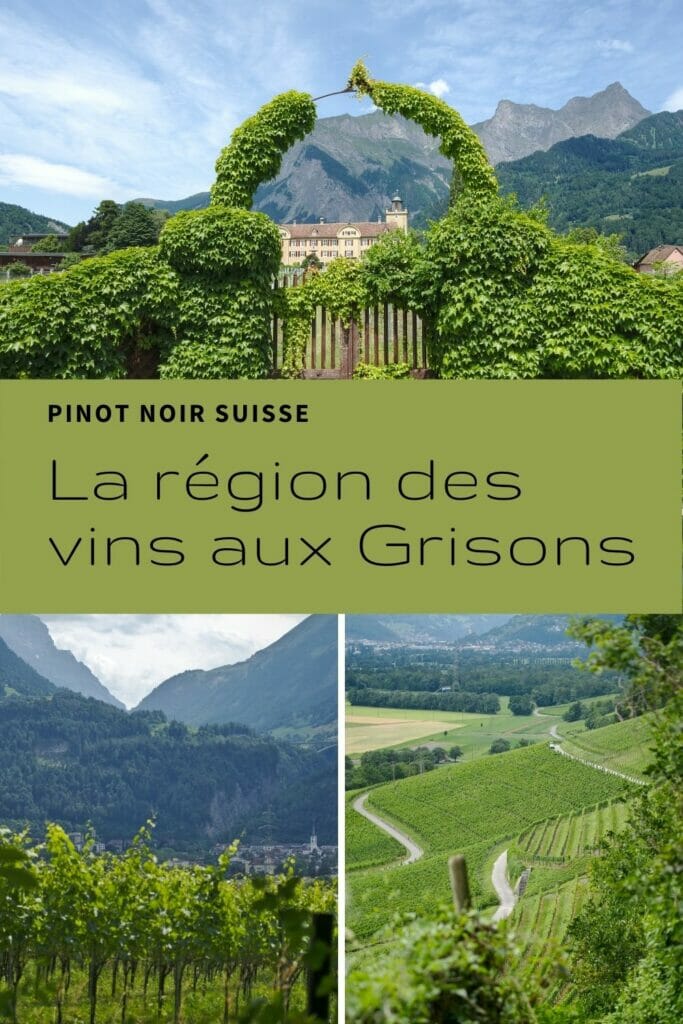 pinot noir des grisons