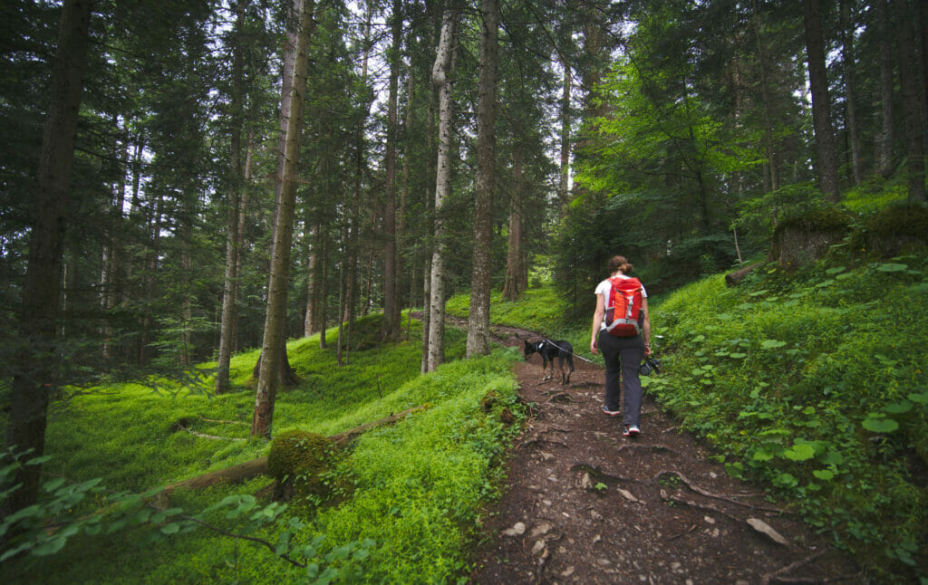 sentier des gorges du Rhin