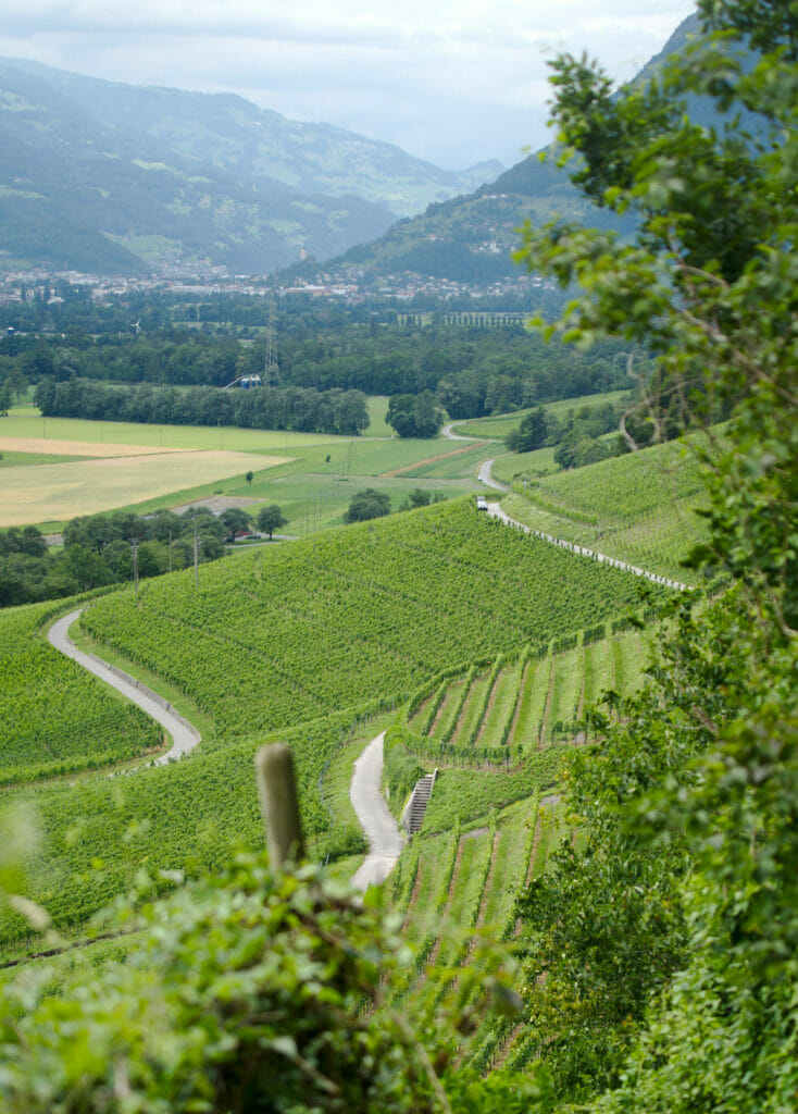 vins des grisons