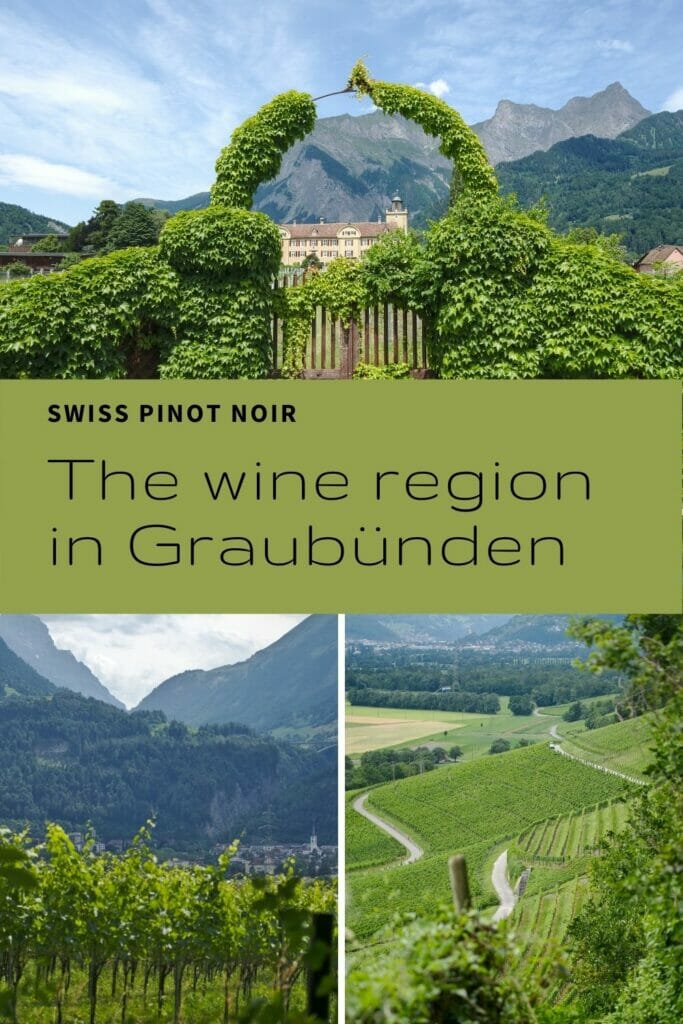 pinot noit Graubunden