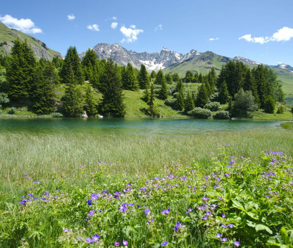 un des lacs à l'alp Flix