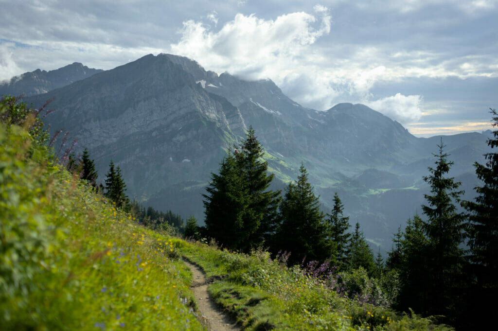 vue sur les Dents Blanches en descendant d'Anthème