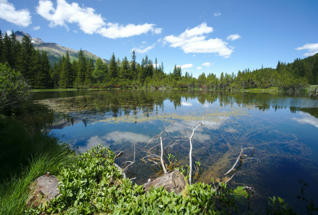 lac noir alp flix