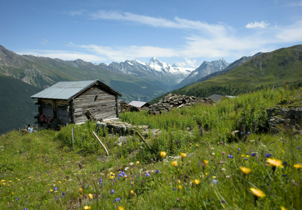 les mayens de Vendes