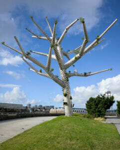 arbre brest