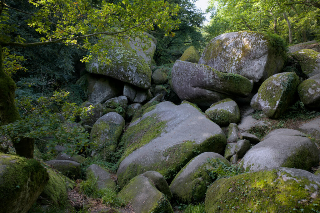 ménage de la vierge