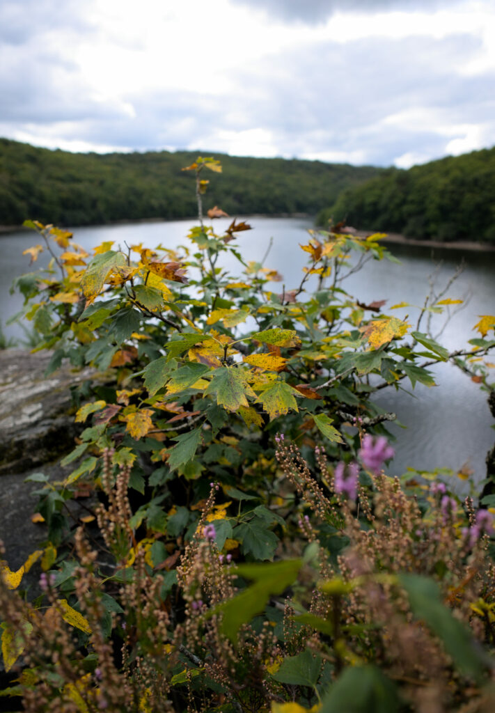 lac de guerlédan