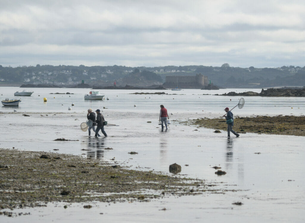 pêche à pied île callot