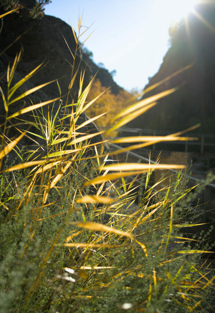 nature en catalogne, fontcalda