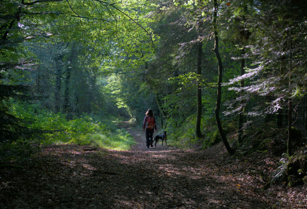 forêt de Carnoet Quimperlé