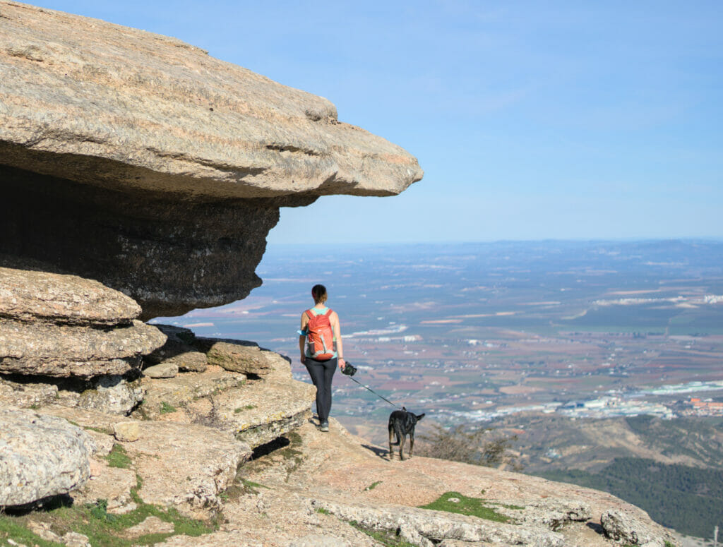 chien parc el torcal de antequera