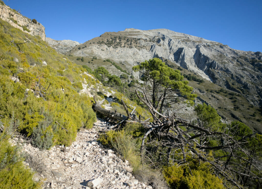 montée à la Maroma depuis Canillas