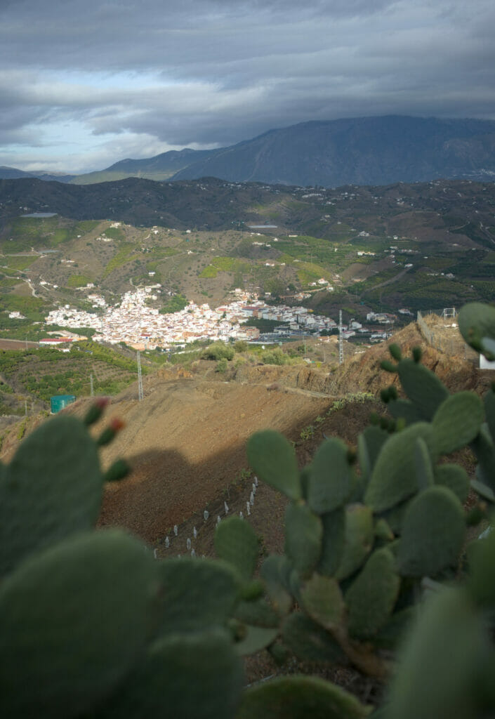 benamargosa malaga